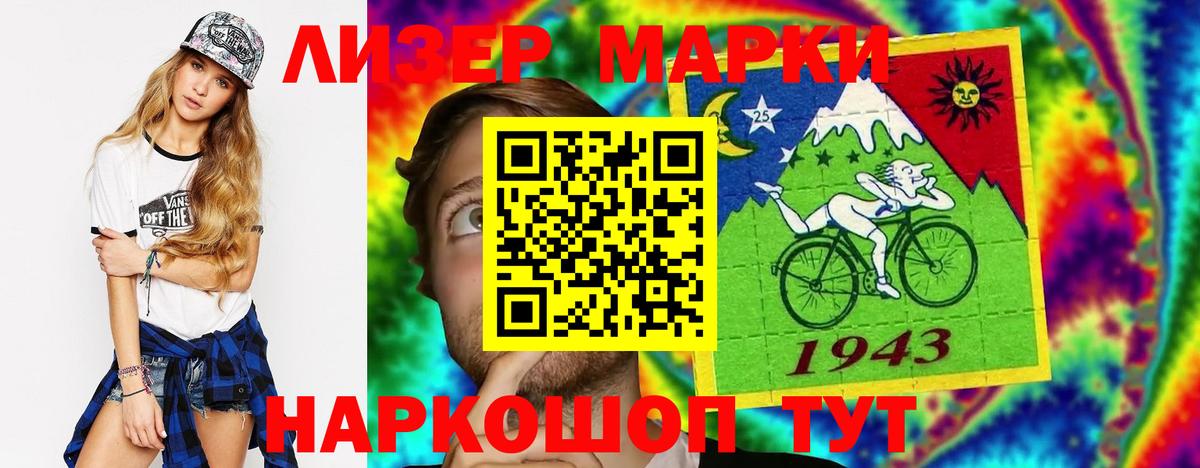 МЕФ Сегежа