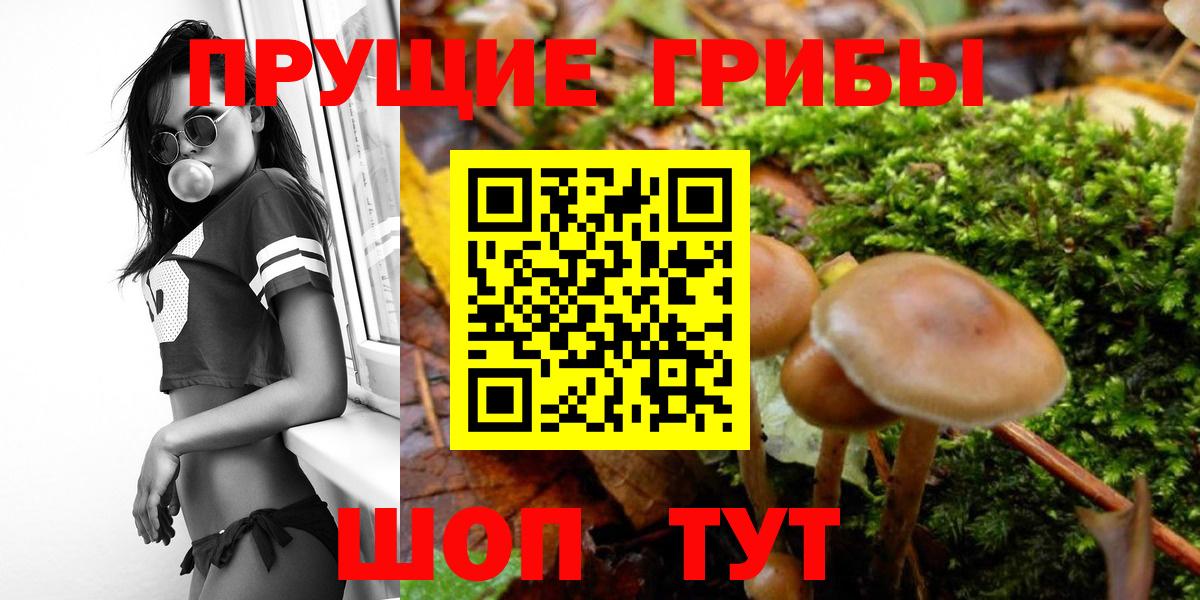 Галлюциногенные грибы Magic Shrooms  Псилоцибиновые грибы MAGIC MUSHROOMS  Сегежа  Вход с VPN 